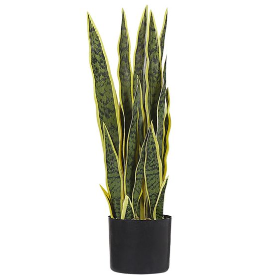 Tekokasvi SNAKE PLANT 63 cm Vihreä