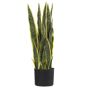 Tekokasvi SNAKE PLANT 63 cm Vihreä