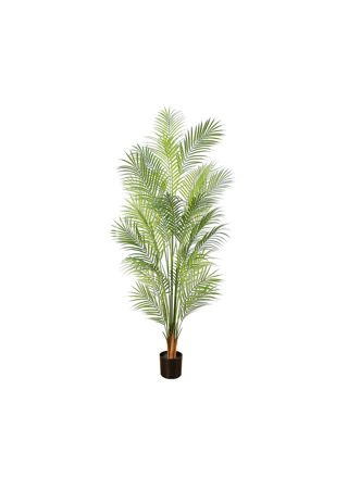 Lykke Tekokasvi Areca Palm 150cm