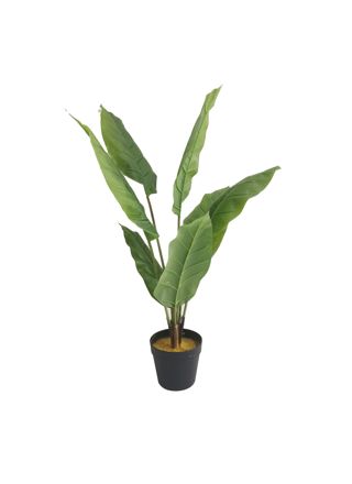 Lykke Tekokasvi Peace Lily 105cm