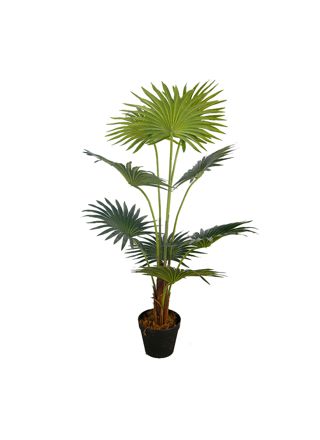 Lykke Tekokasvi Fan Palm 100cm