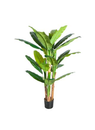 Lykke Tekokasvi Banana Tree 170cm