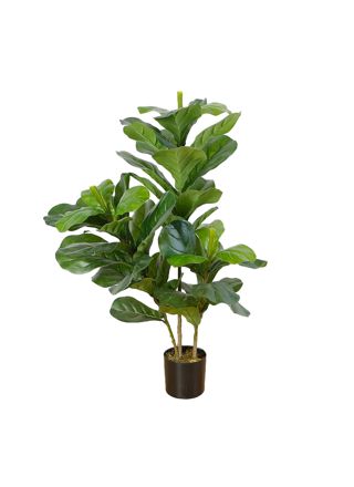 Lykke Tekokasvi Fiddle-Leaf Fig 85cm