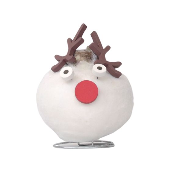 Amaryllis - Hippeastrum 'Vahakukka Erikois Poro'