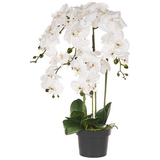 Tekokasvi ORCHID 63 cm Valkoinen