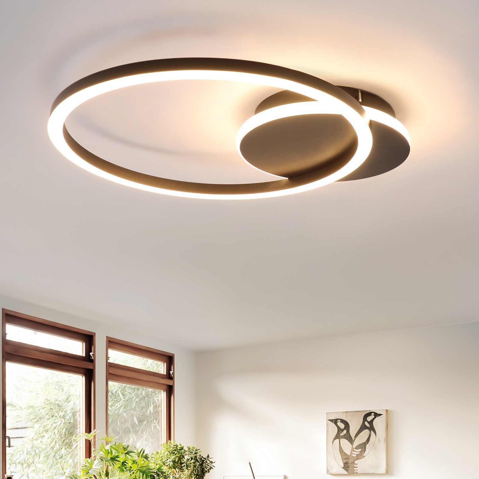 NETTLIFE LED - kattovalaisin, olohuoneeseen, 24W, musta, moderni, 2 rengasta, 3000K, lämmin, valkoinen