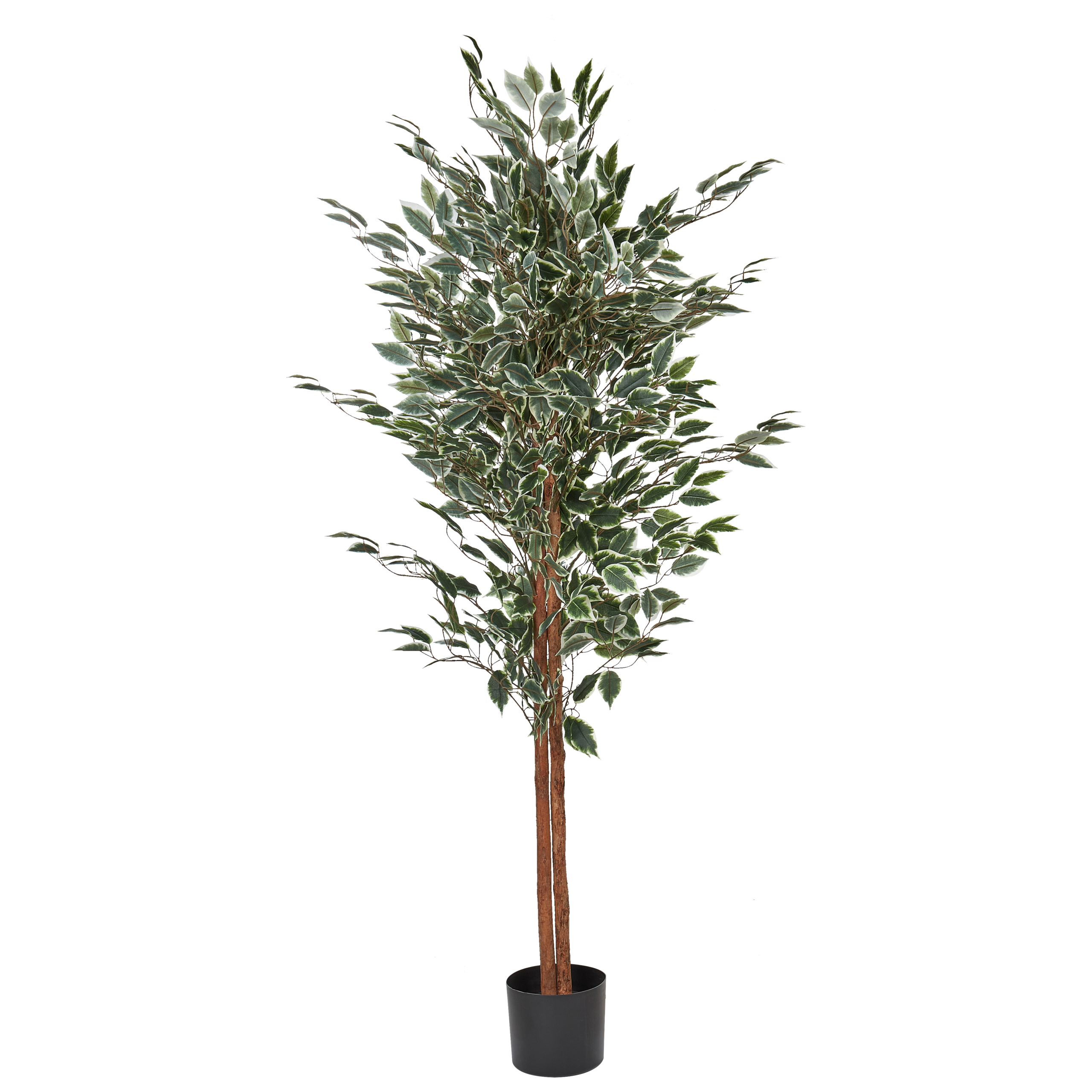 Tekokasvi FICUS 167 cm Vihreä