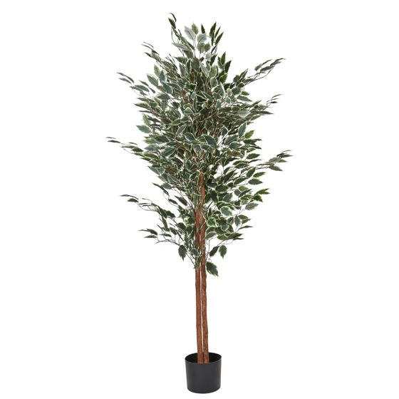 Tekokasvi FICUS 167 cm Vihreä