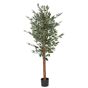 Tekokasvi FICUS 167 cm Vihreä