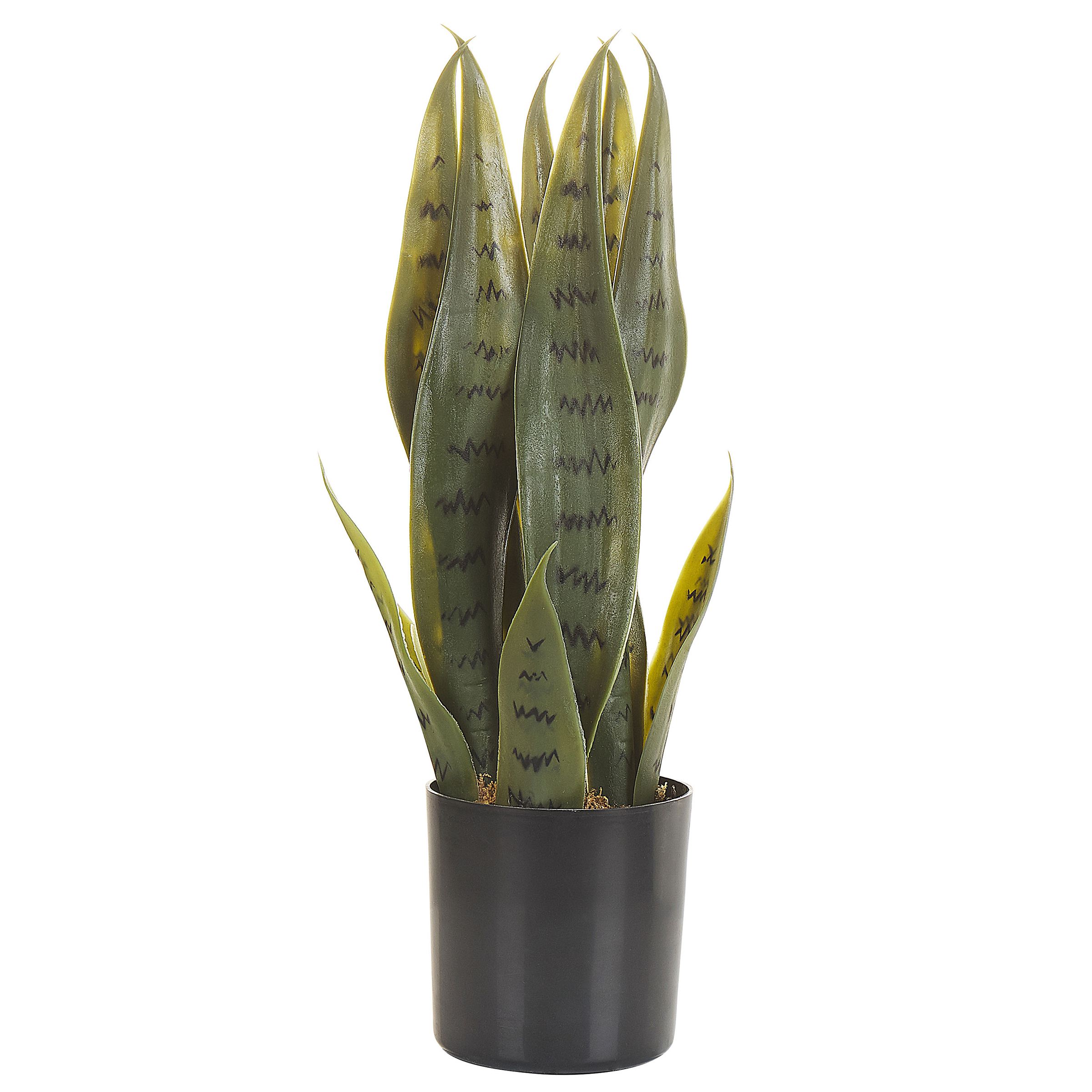 Tekokasvi SNAKE PLANT 40 cm Vihreä