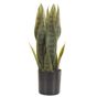 Tekokasvi SNAKE PLANT 40 cm Vihreä