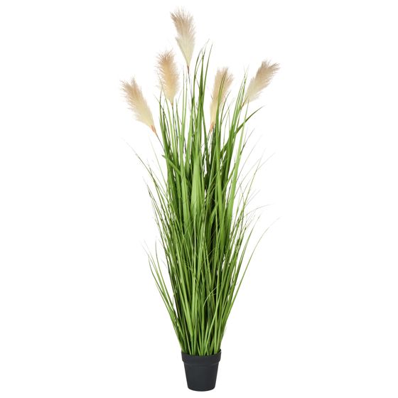 Tekokasvi PAMPAS GRASS 130 cm Vihreä