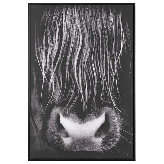 Canvas-taulu GALEATA 63 x 99 cm Eläinaihe Musta