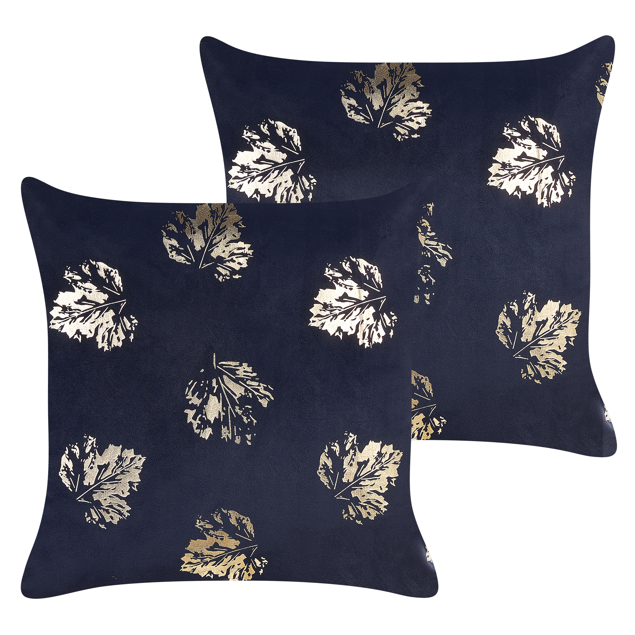 Koristetyynysetti 2 kpl GOLDENROD sametti 45 x 45 cm Musta Kasvikuvio