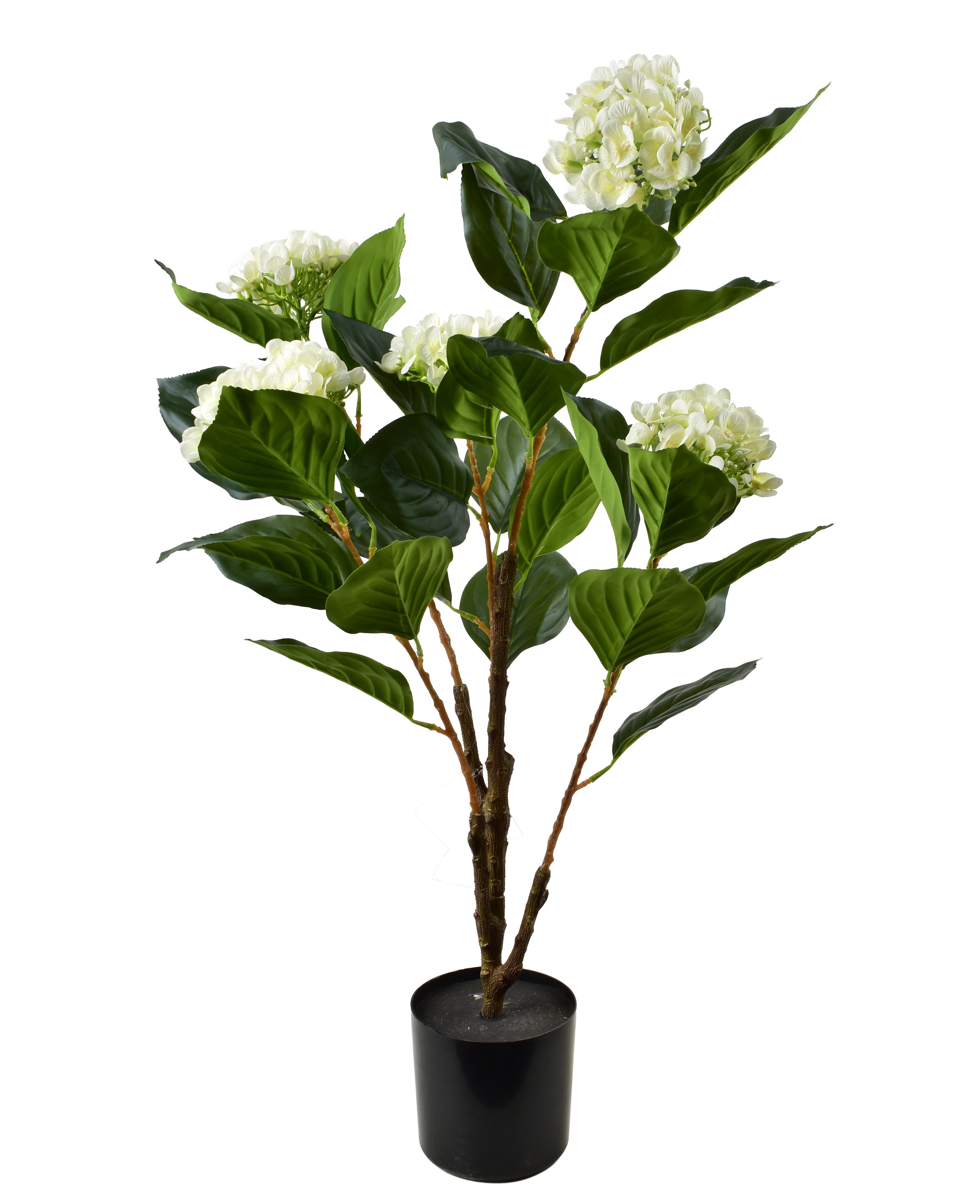 Tekohortensia muovi Mondex VIRIDIS 80 cm valkoinen 5 kukkaa