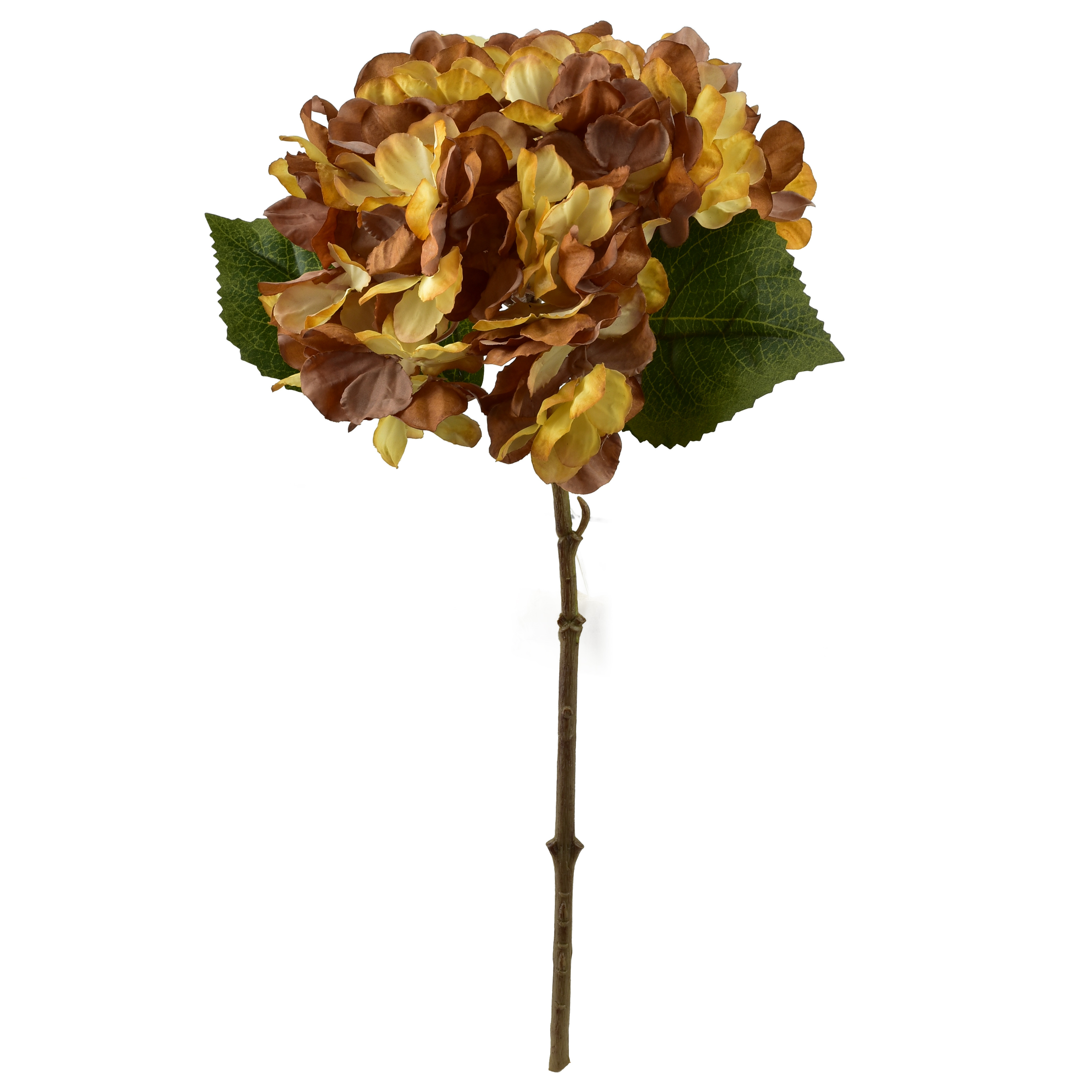 tekokukka Viridis Hortensia 35cm 1kpl
