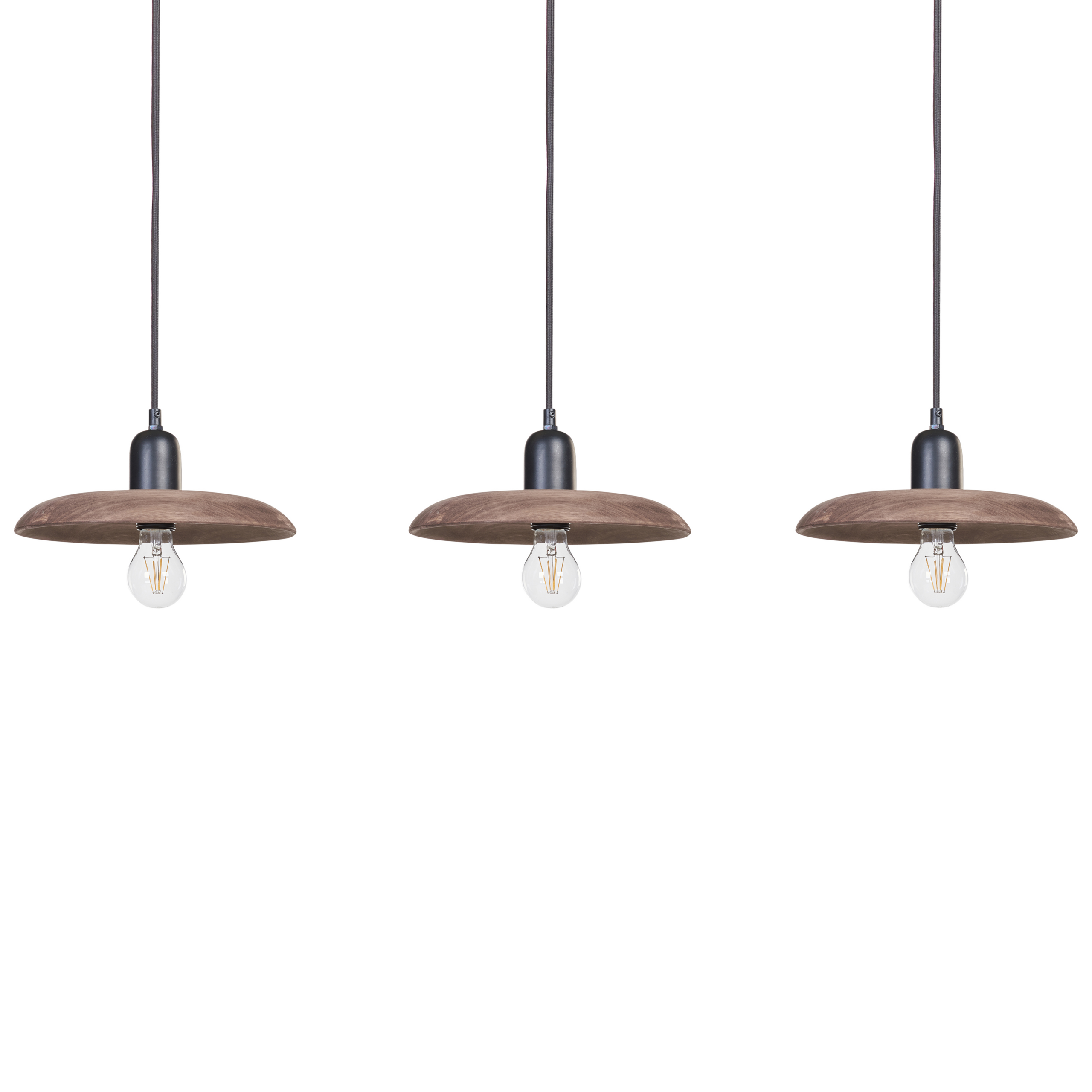 Riippuvalaisin MANJEERA mangopuu Tummanruskea