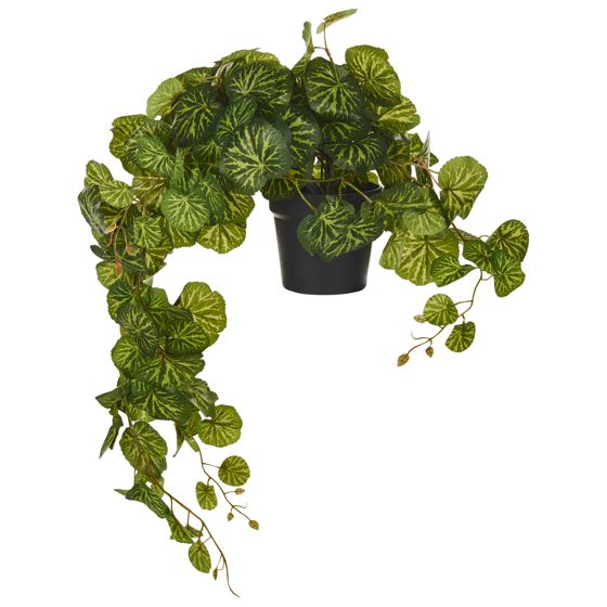 Riippuva tekokasvi STRAWBERRY BEGONIA 37 cm Vihreä