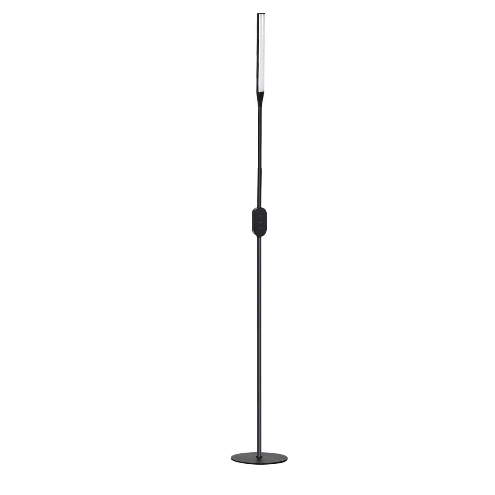 NETTLIFE himmennettävä LED-lattiavalaisin musta - 178 CM moderni lattiavalaisin kosketusohjattava olohuoneen design ajastimella