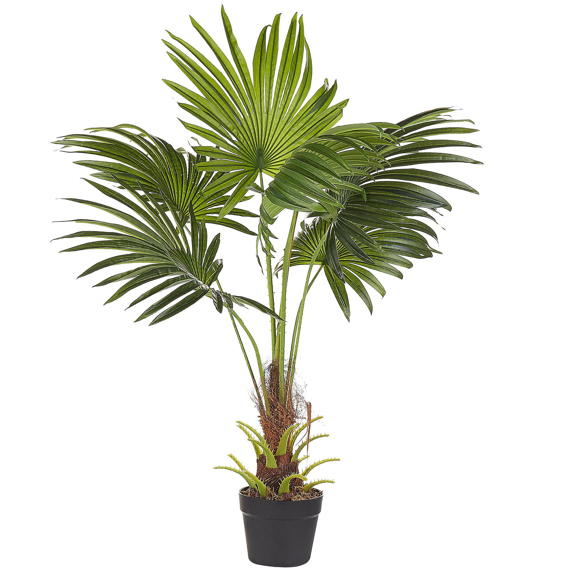Tekokasvi FAN PALM 100 cm Vihreä