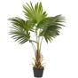 Tekokasvi FAN PALM 100 cm Vihreä