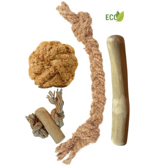 Koirien lelujen peruspaketti – Luonnollista pureskelua ja leikkiä