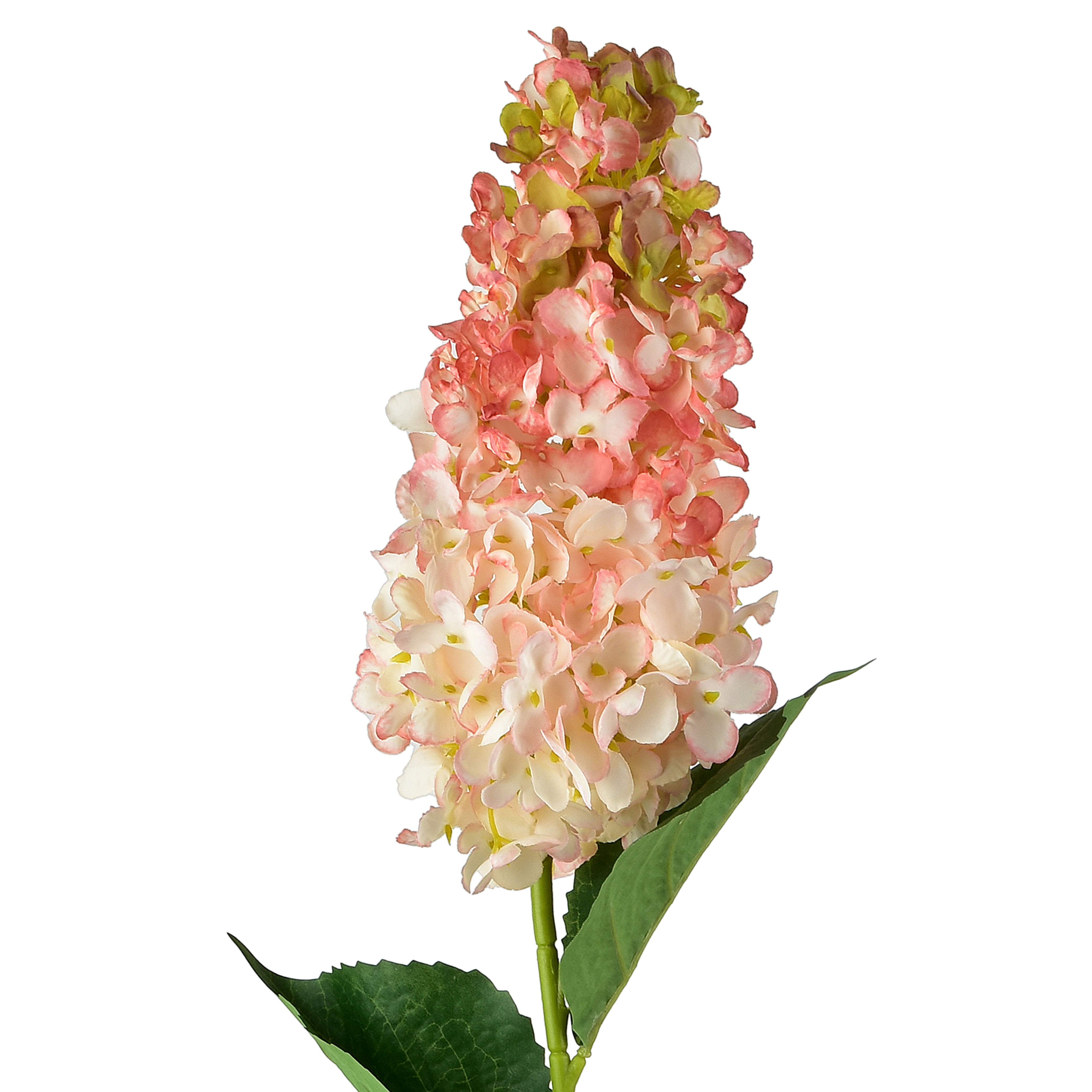 tekokukka muovi Mondex Viridis 80cm vihreä 1kpl
