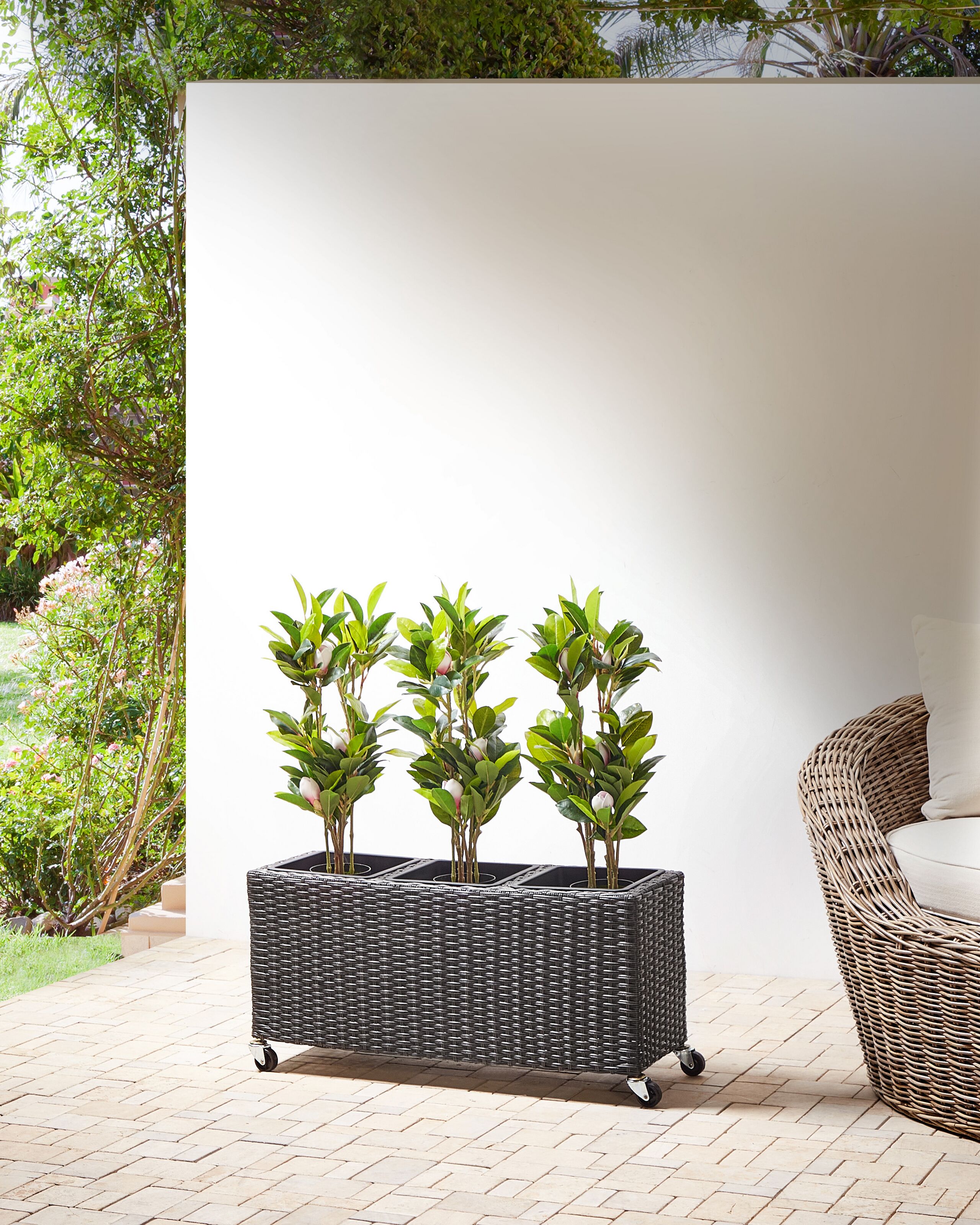 Kukkaruukku BELLIS polyrottinki 82 cm Musta