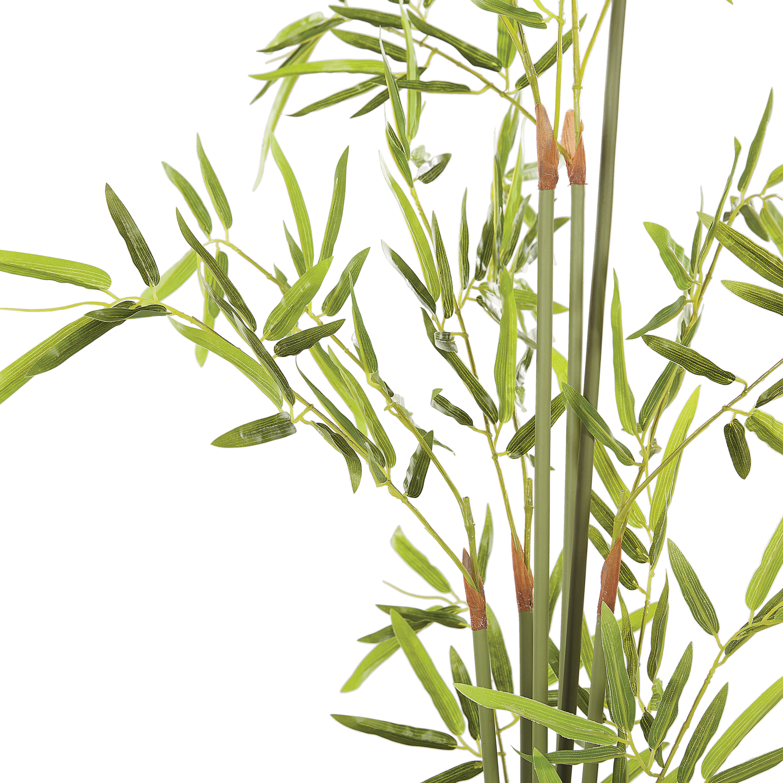 Tekokasvi BAMBUSA VULGARIS 100 cm Vihreä