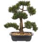 Tekokasvi PINE 44 cm Vihreä