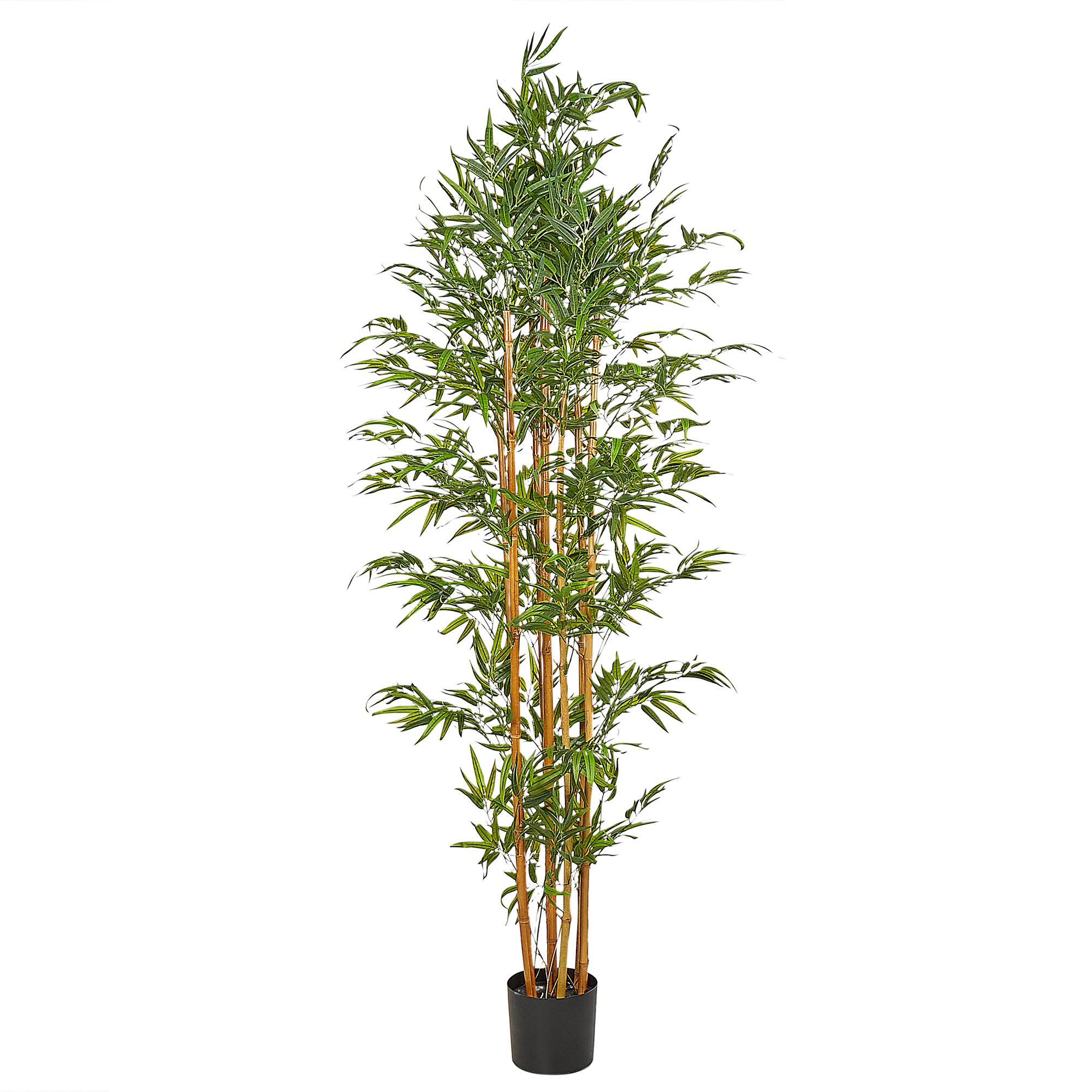 Tekokasvi BAMBOO 220 cm Vihreä