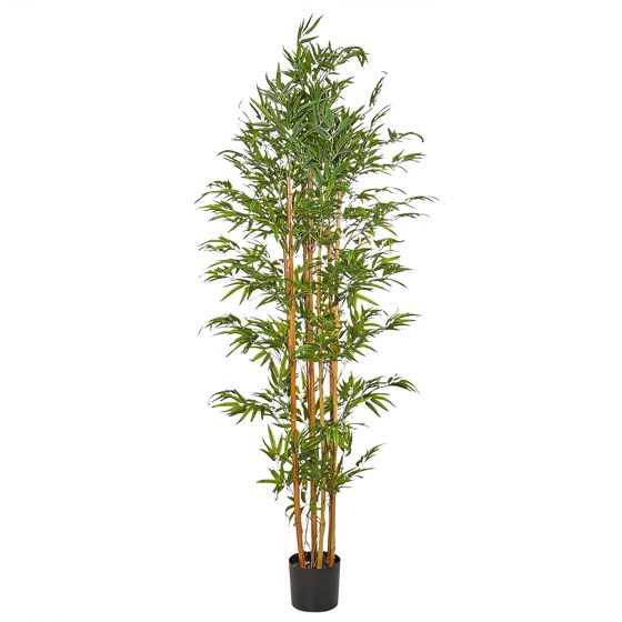 Tekokasvi BAMBOO 220 cm Vihreä