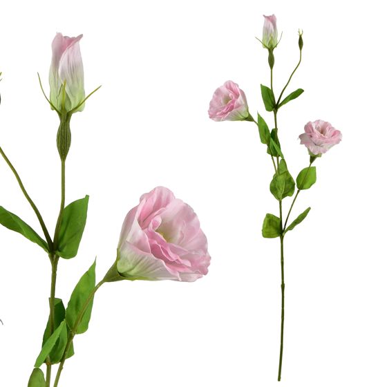 Tekokukka kumitettu Viridis Eustoma 70 cm 1 kpl