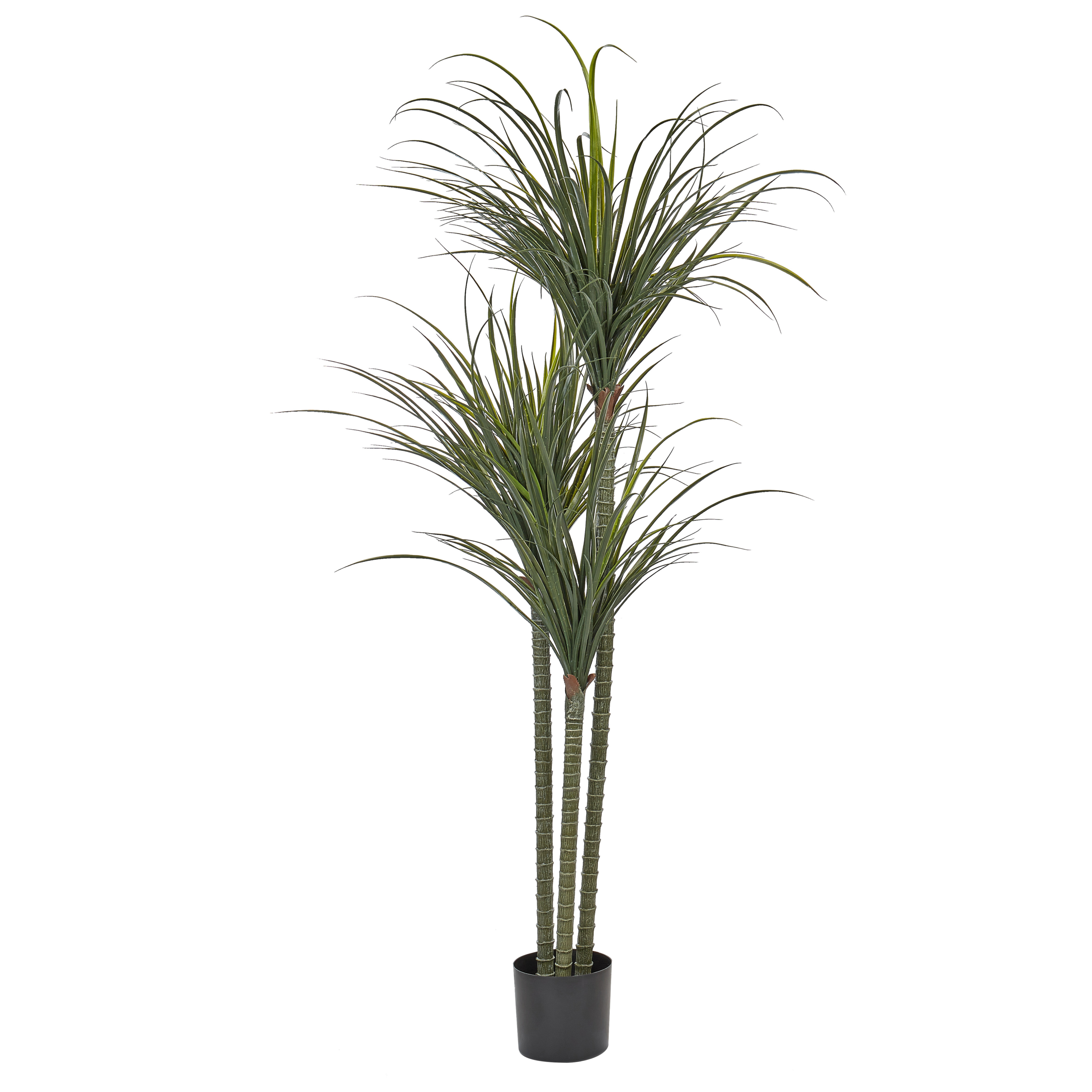 Tekokasvi DRACAENA ANITA 198 cm Vihreä