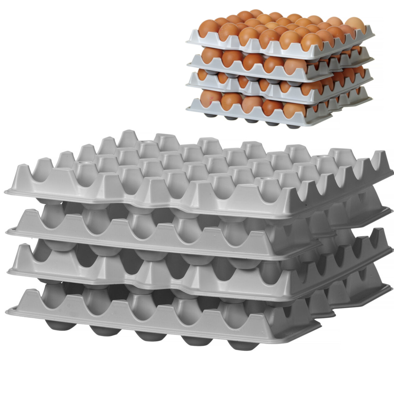 Munatarjotin OVOBOX 120 -astiaan - 4 kpl:n sarja
