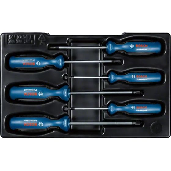 Bosch Professional -Torx-ruuvitalttasarja 6 Osaa