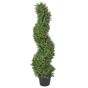Tekokasvi BUXUS SPIRAL TREE 98 cm Vihreä