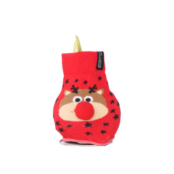 Amaryllis - Hippeastrum 'Reindeer Sweater' - Kukkasipuli - Punainen