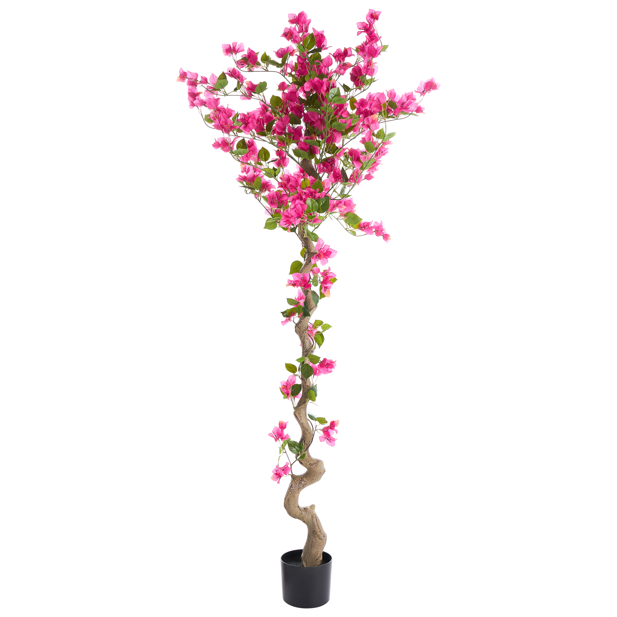 Tekokasvi BOUGAINILLEA TREE 180 cm Vaaleanpunainen