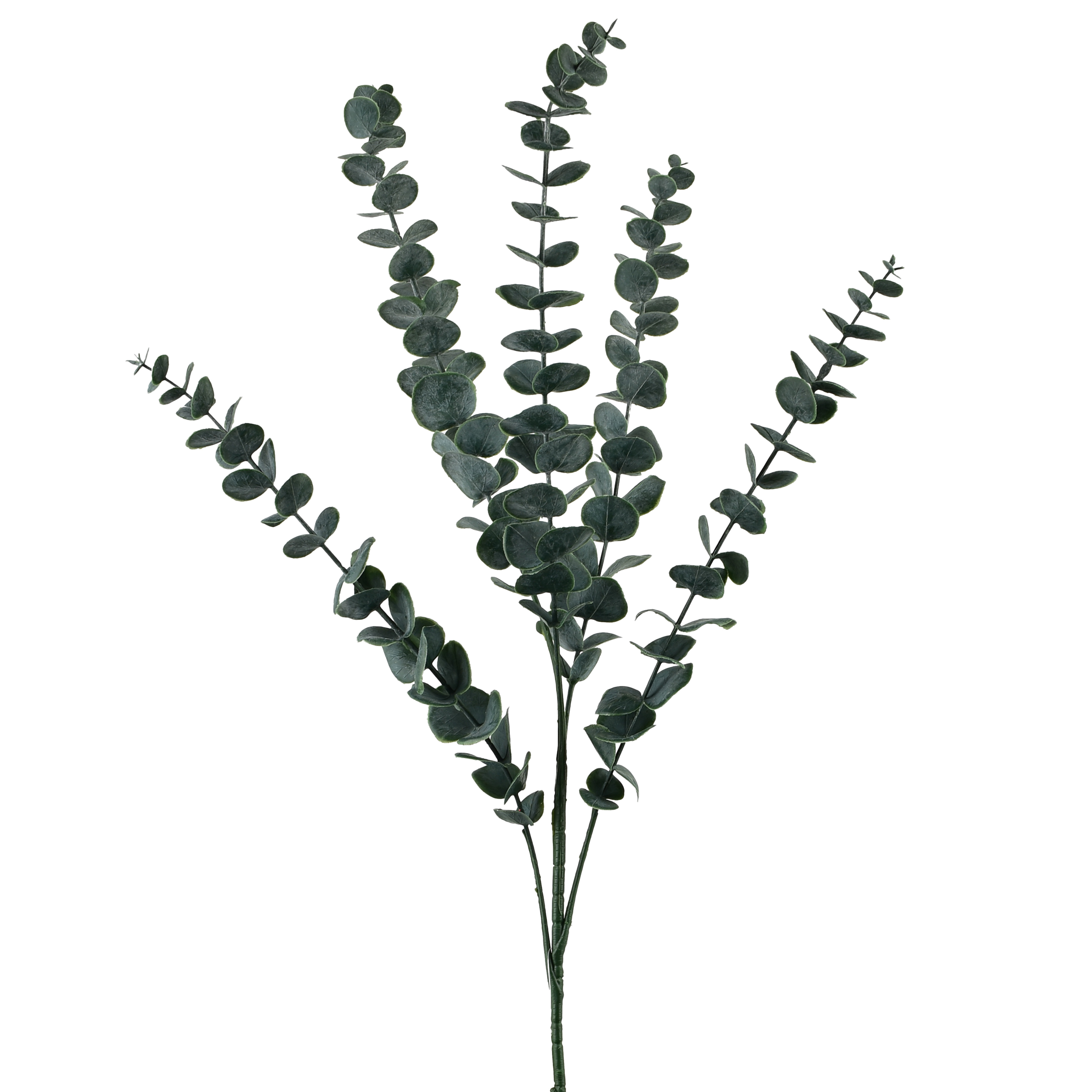 Koristeoksa Viridis Eukalyptus 80cm vihreä 1kpl