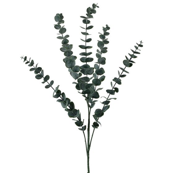 Koristeoksa Viridis Eukalyptus 80cm vihreä 1kpl
