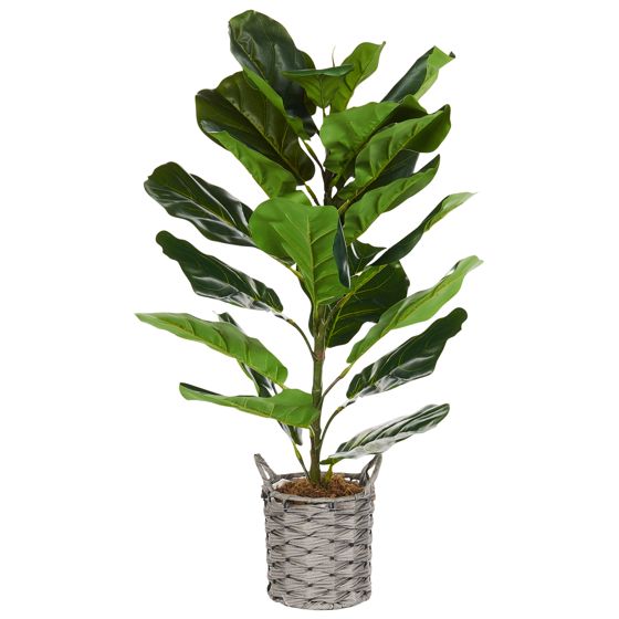 Tekokasvi FIDDLE LEAF TREE 72 cm Vihreä