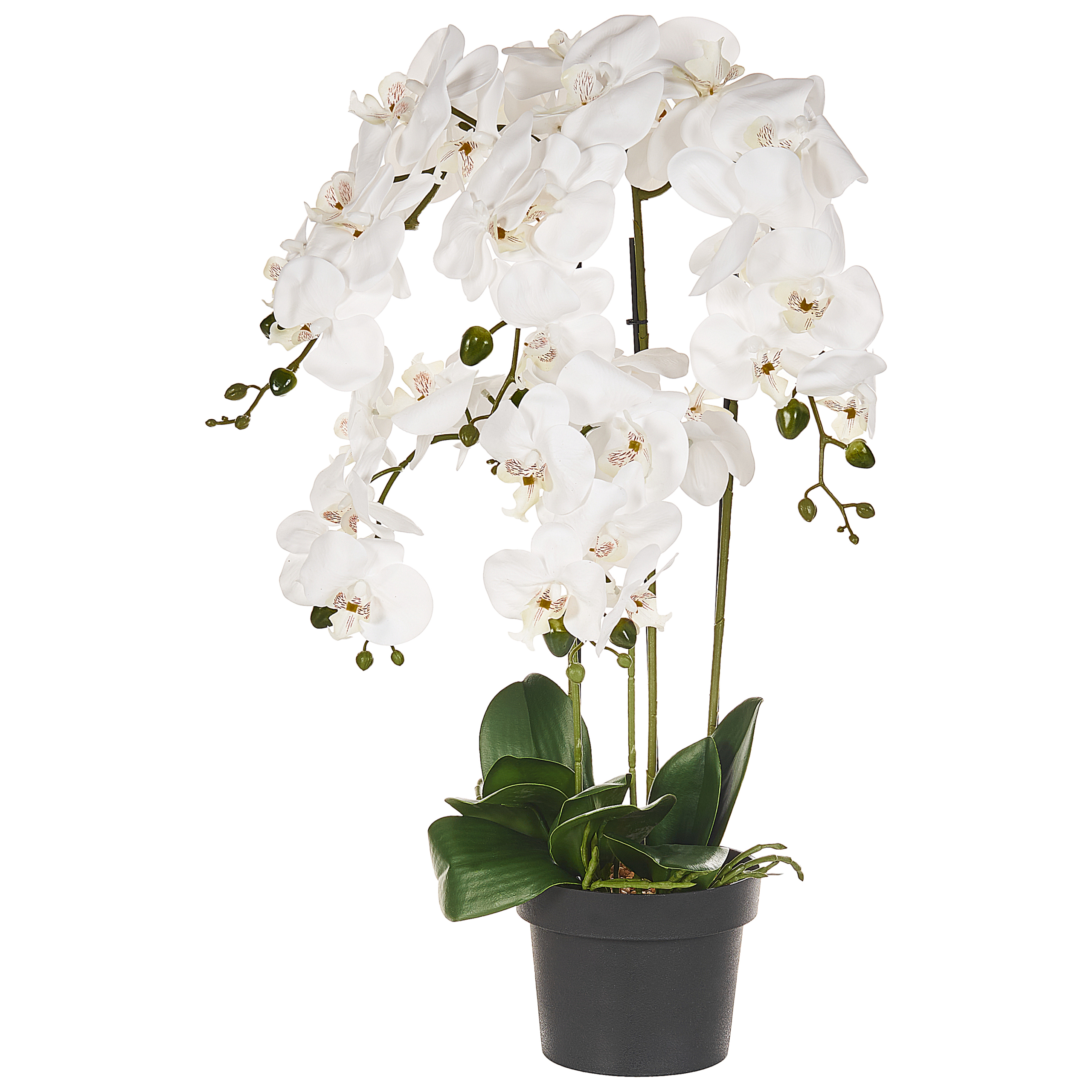 Tekokasvi ORCHID 65 cm Valkoinen