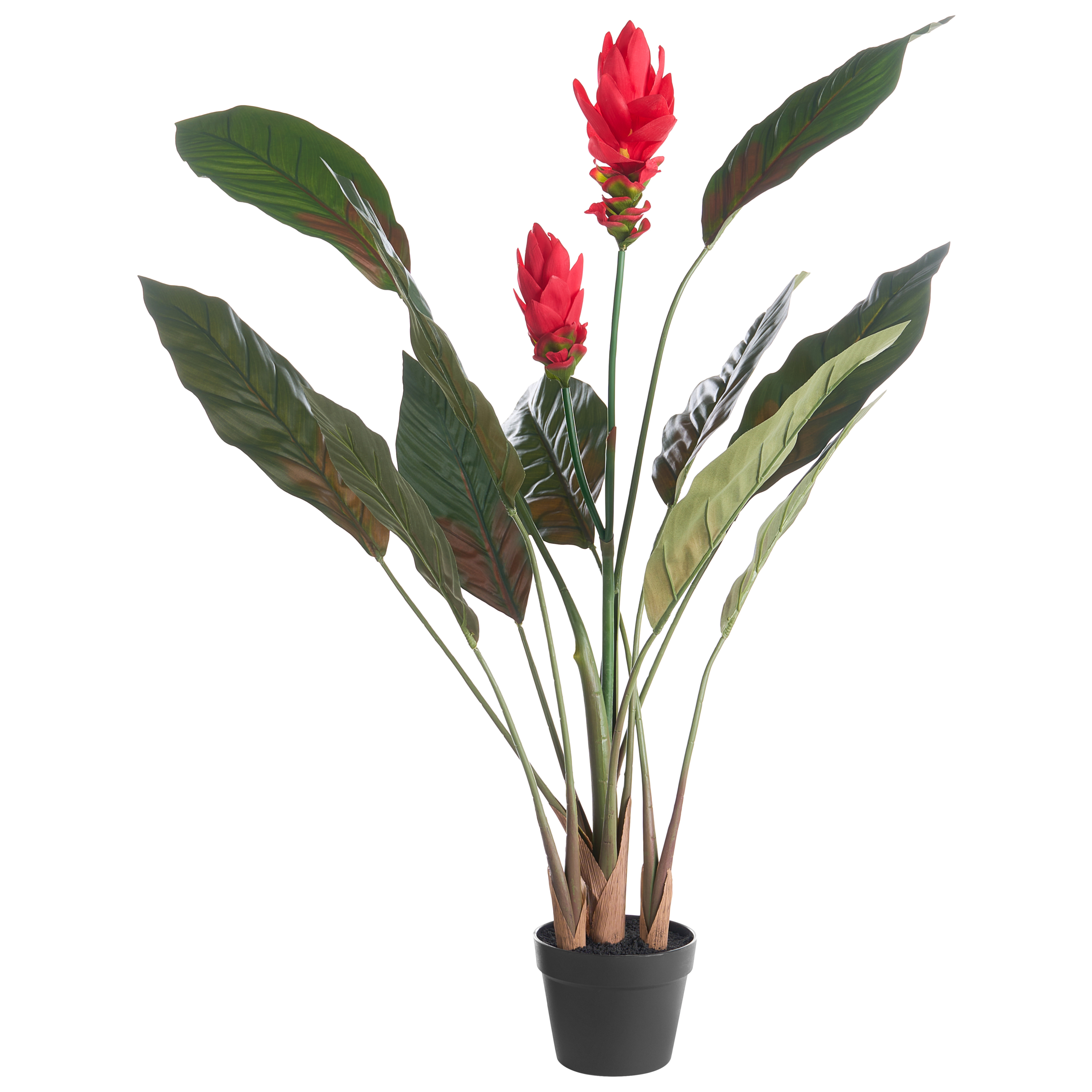 Tekokasvi PURPURATA 130 cm Punainen