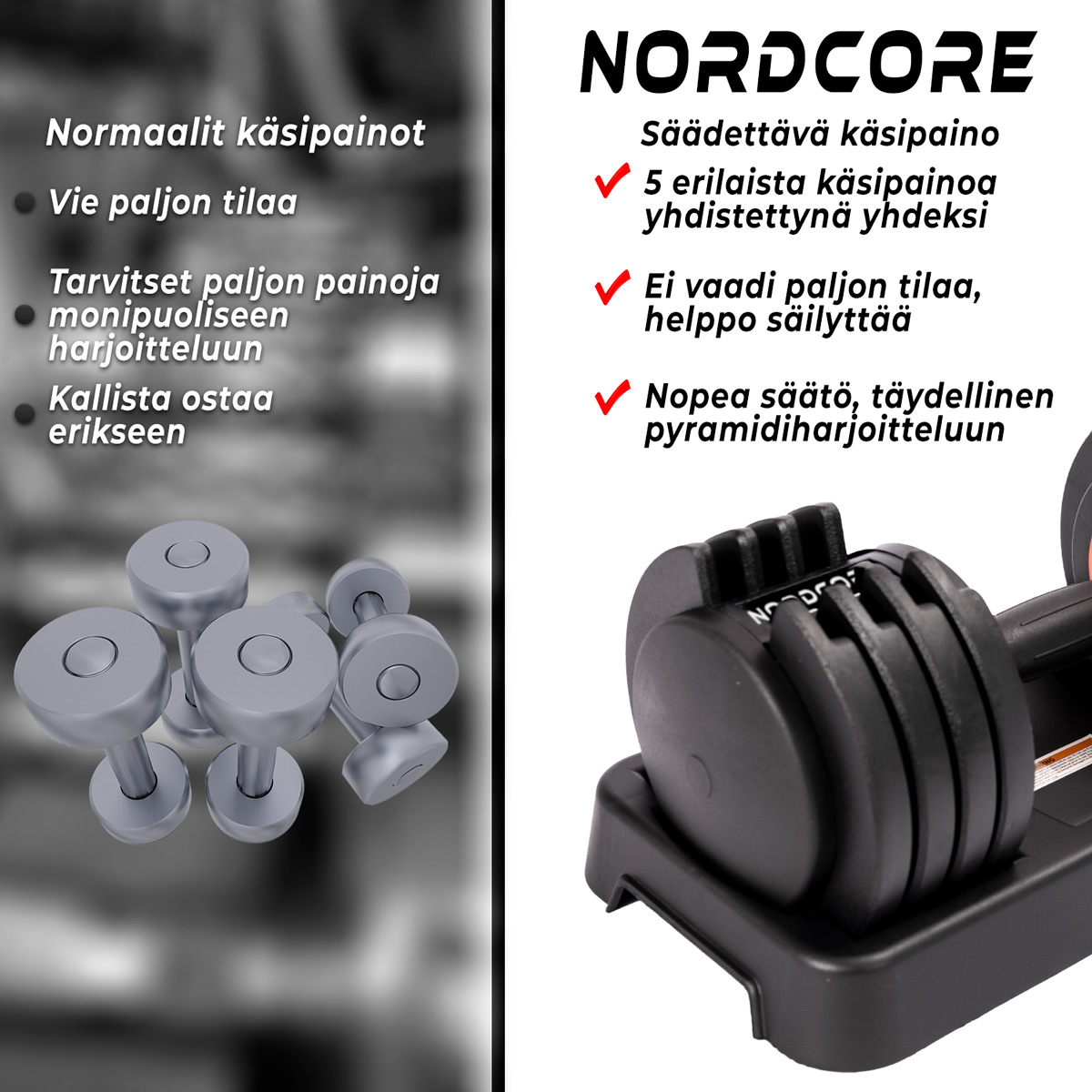 Nordcore 2x Säädettävä käsipaino Core, 50kg