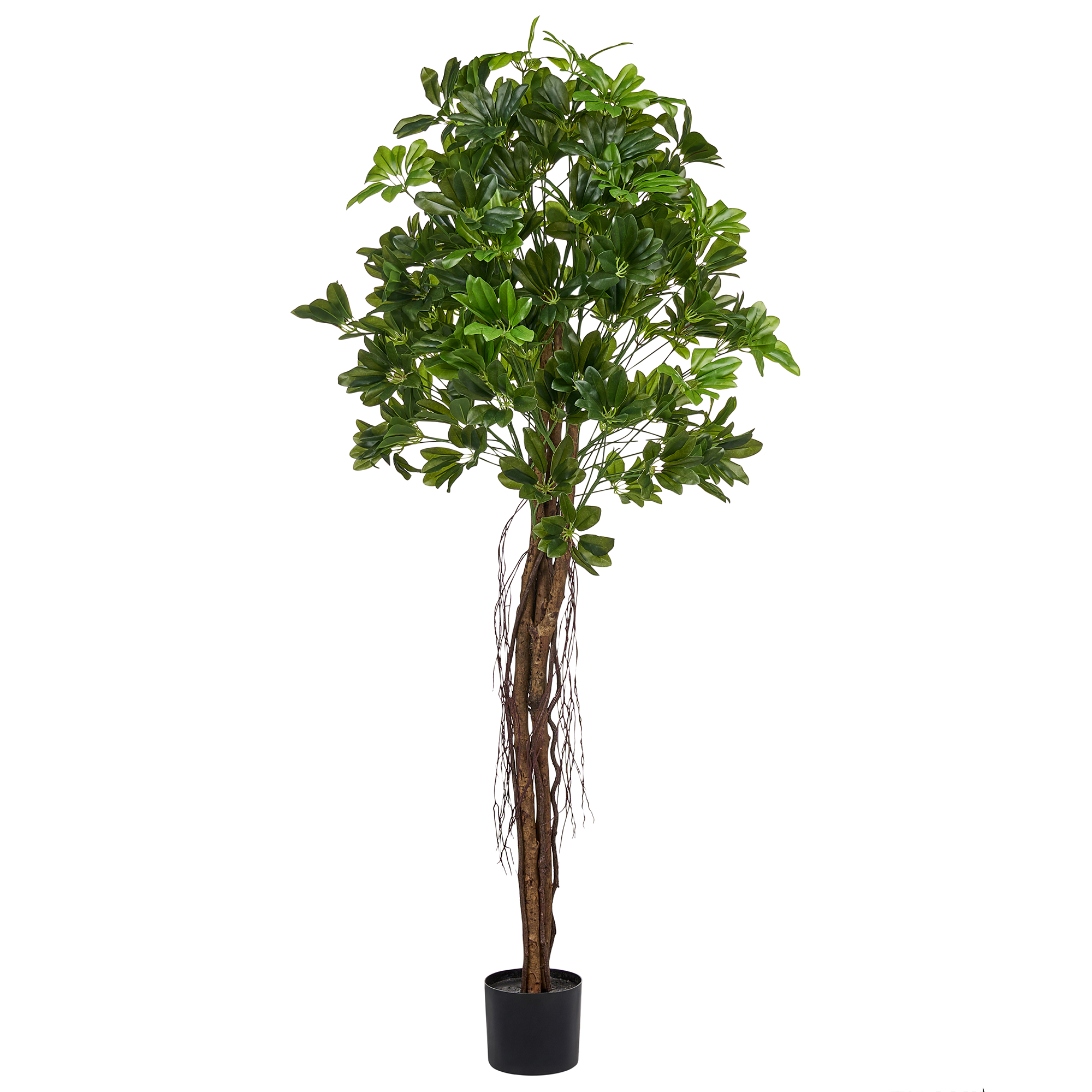 Tekokasvi UMBRELLA TREE 175 cm Vihreä