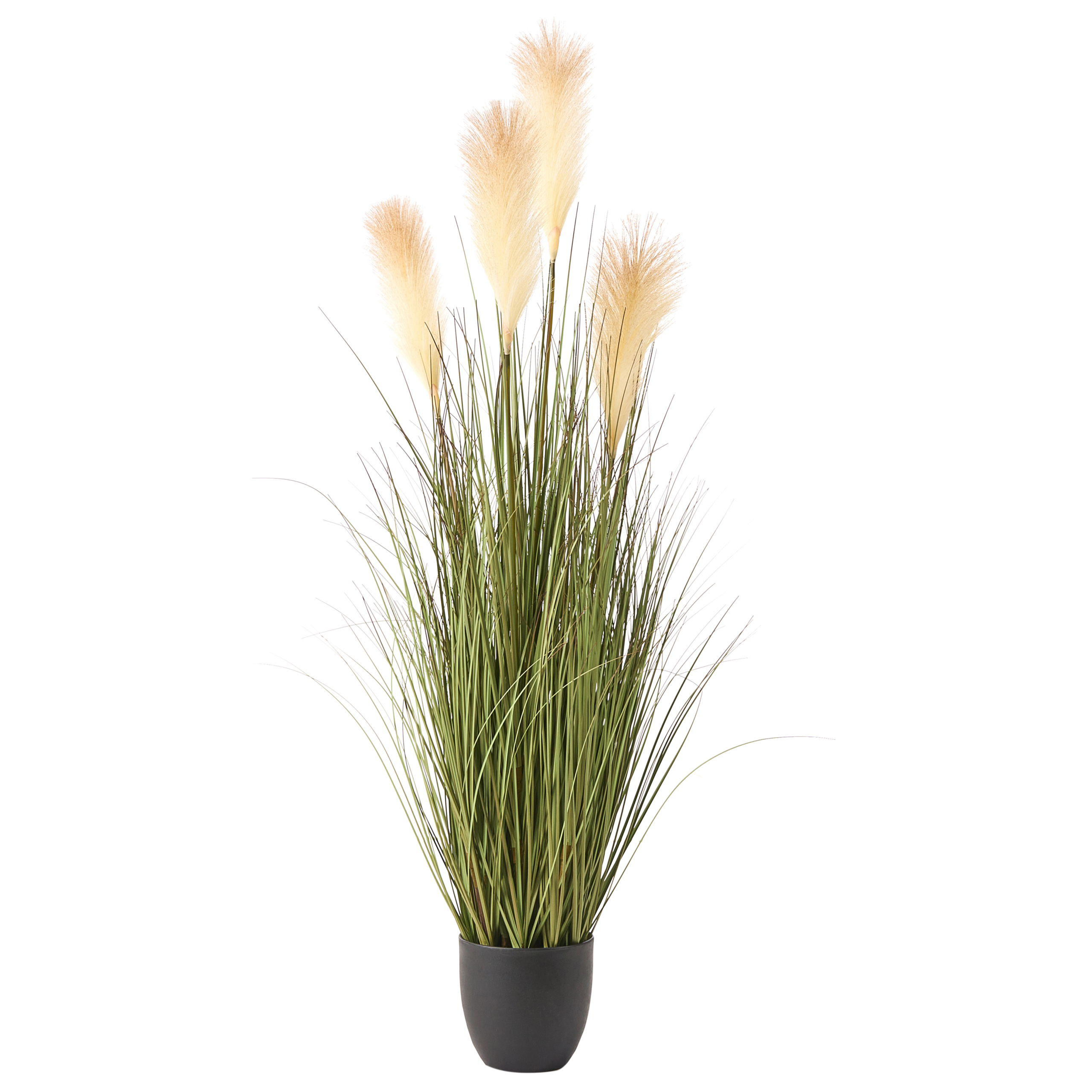 Tekokasvi PAMPAS GRASS 120 cm Vihreä