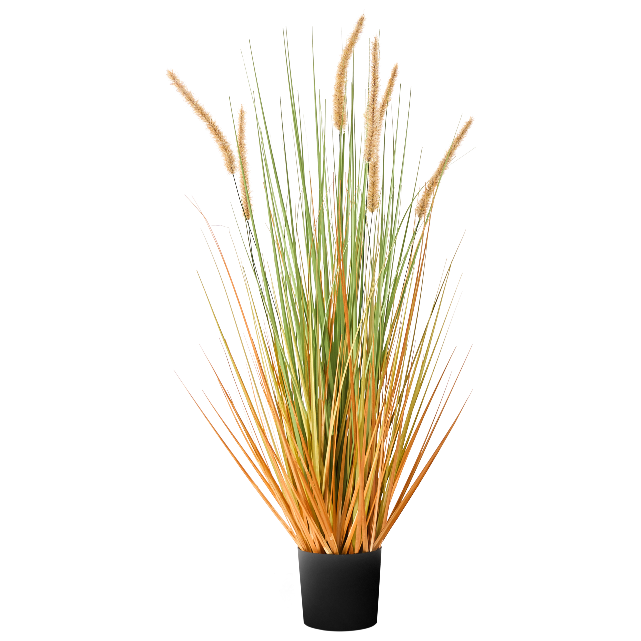 Tekokasvi BRISTLEGRASS 90 cm Vihreä