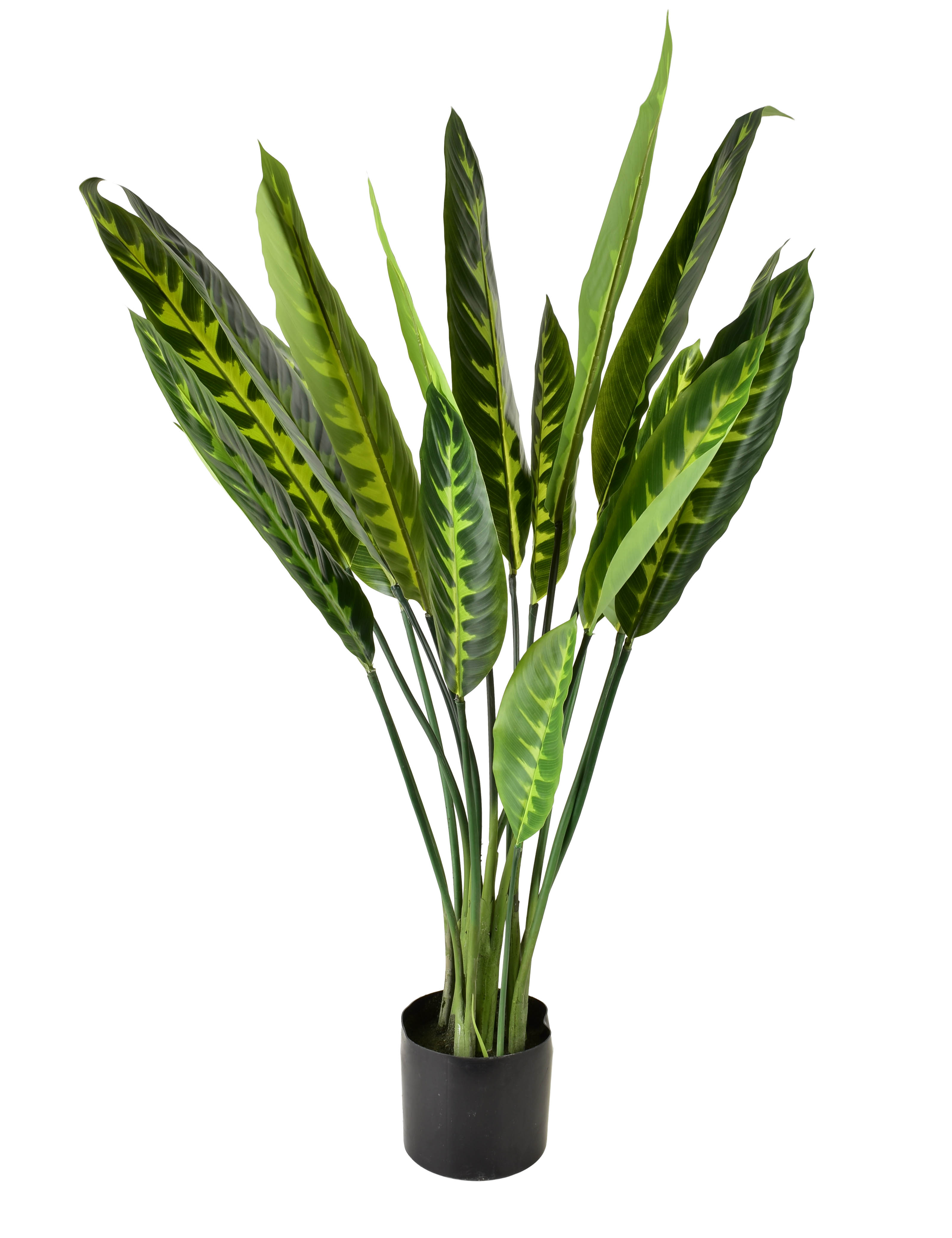 Tekokasvi muovi VIRIDIS Kalatea 15x14x109 cm vihreä/musta 1 kpl