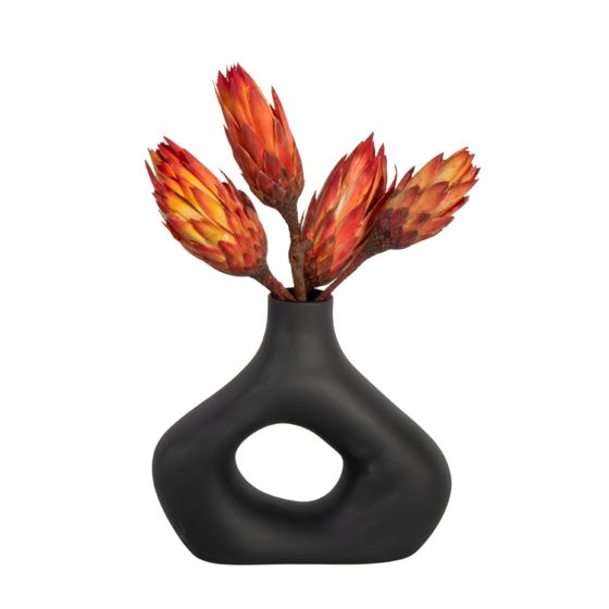 Kuivatut kukat - 5 kpl - Kimppu 'Protea Pendula punainen'